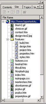 Project Manager - Site view